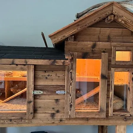 Hoell * 瓦格赖恩